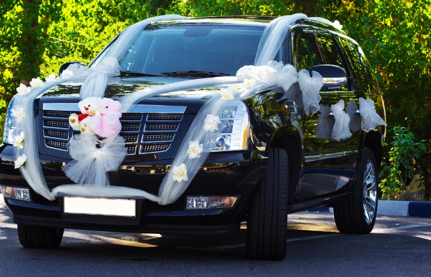 Airport Transfer Services Blue Moves